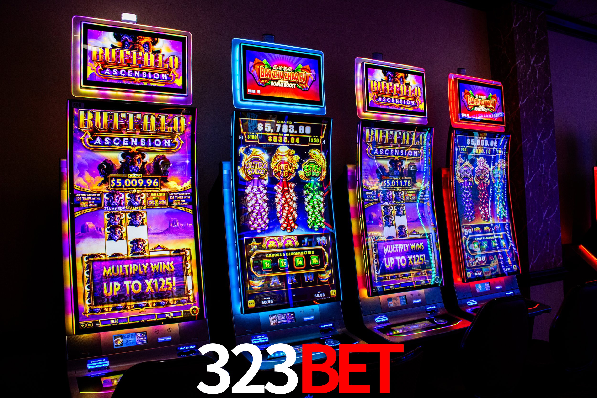 323BET APP